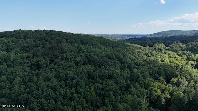 LOT13/14 Clifton Cemetery Rd, Spring City, TN 37381 - photo 16