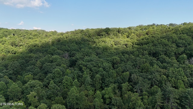 LOT13/14 Clifton Cemetery Rd, Spring City, TN 37381 - photo 17