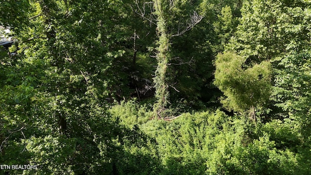 LOT13/14 Clifton Cemetery Rd, Spring City, TN 37381 - photo 19