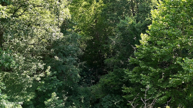 LOT13/14 Clifton Cemetery Rd, Spring City, TN 37381 - photo 20