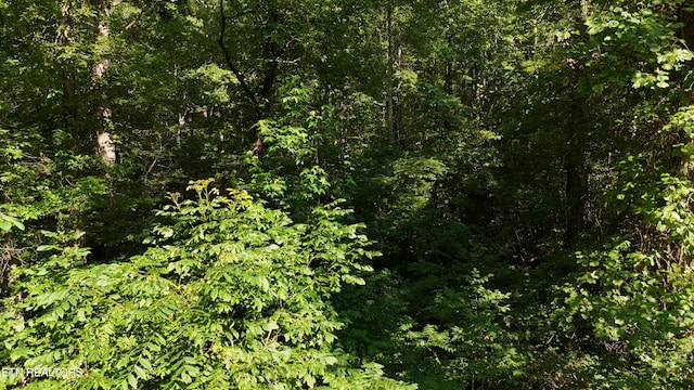 LOT13/14 Clifton Cemetery Rd, Spring City, TN 37381 - photo 21