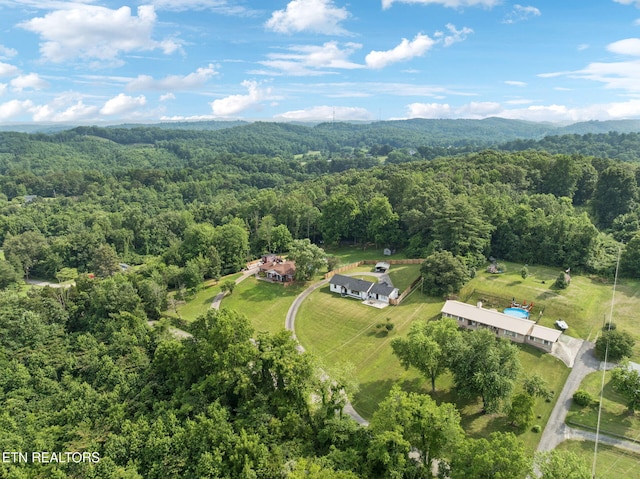448 Woolsey Rd, Harriman, TN 37748 - photo 48
