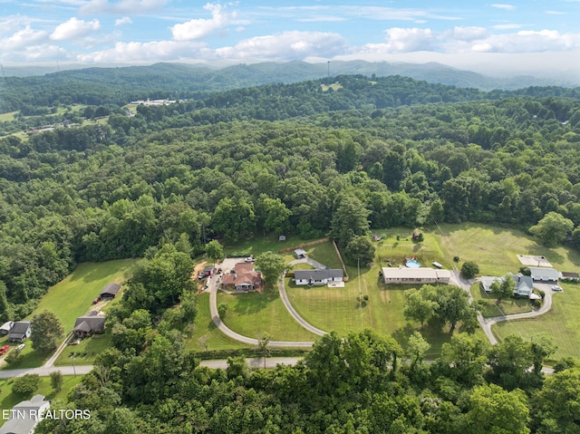 448 Woolsey Rd, Harriman, TN 37748 - photo 49