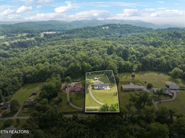 448 Woolsey Rd, Harriman, TN 37748 - photo 50