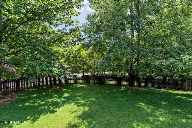 160 Amohi Way, Loudon, TN 37774 - photo 9