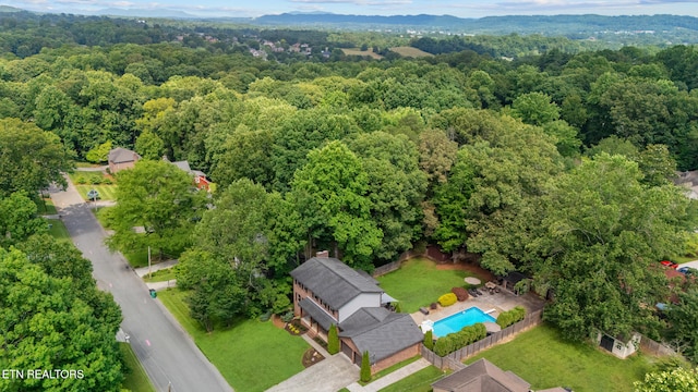 7916 Ember Crest Trl, Knoxville, TN 37938 - photo 6