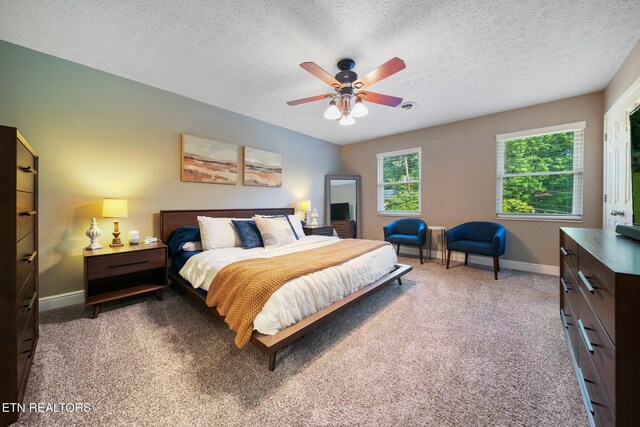 7916 Ember Crest Trl, Knoxville, TN 37938 - photo 35