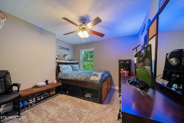 7916 Ember Crest Trl, Knoxville, TN 37938 - photo 40