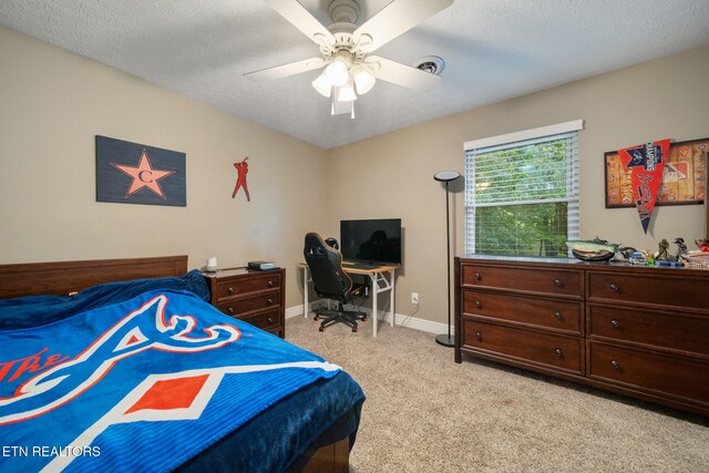 7916 Ember Crest Trl, Knoxville, TN 37938 - photo 42