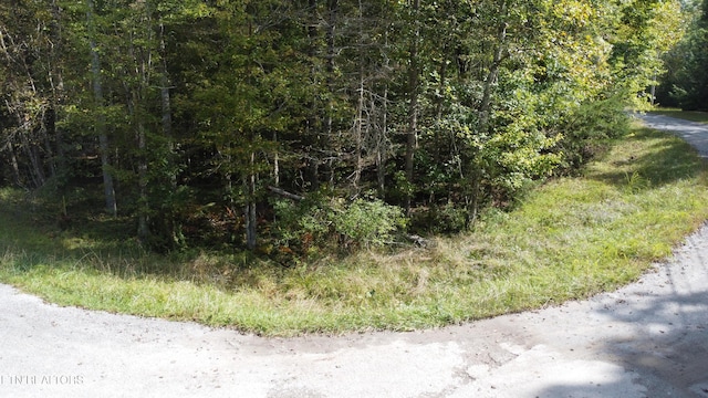 Poston Dr, Monterey, TN 38574