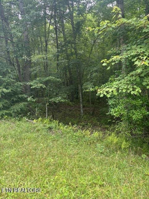 Poston Dr, Monterey, TN 38574