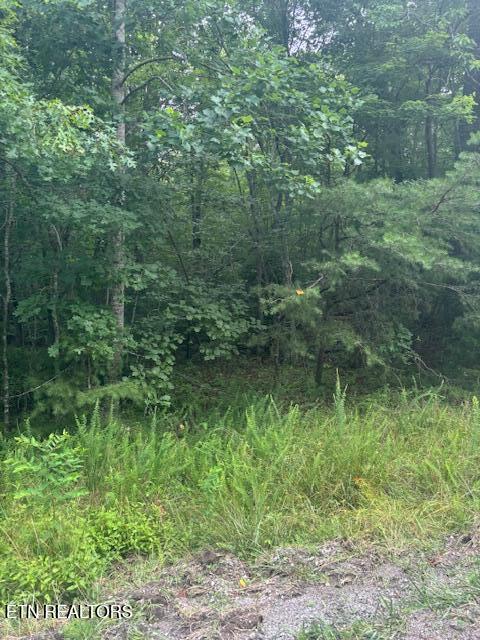 Poston Dr, Monterey, TN 38574