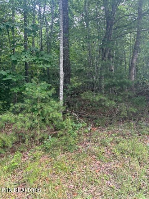 Poston Dr, Monterey, TN 38574