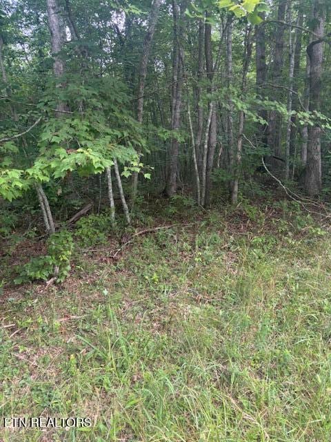 Poston Dr, Monterey, TN 38574
