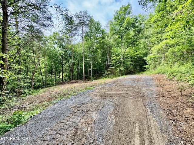 1140 River Divide Rd, Sevierville, TN 37876 - photo 44