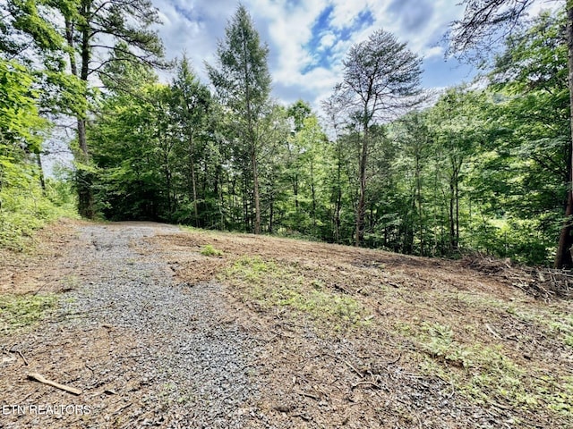 1140 River Divide Rd, Sevierville, TN 37876 - photo 45