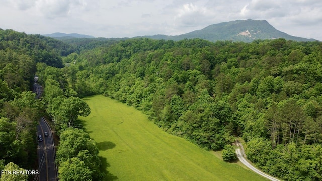 1140 River Divide Rd, Sevierville, TN 37876 - photo 47