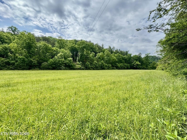 1140 River Divide Rd, Sevierville, TN 37876 - photo 49