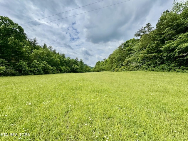 1140 River Divide Rd, Sevierville, TN 37876 - photo 50