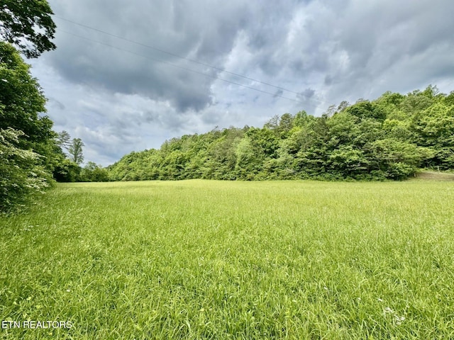 1140 River Divide Rd, Sevierville, TN 37876 - photo 51