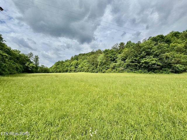 1140 River Divide Rd, Sevierville, TN 37876 - photo 52