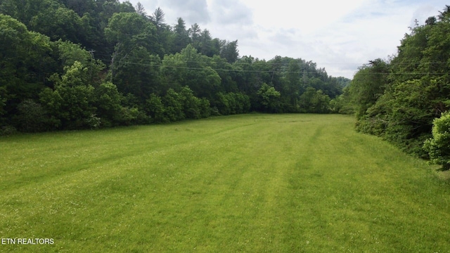 1140 River Divide Rd, Sevierville, TN 37876 - photo 53