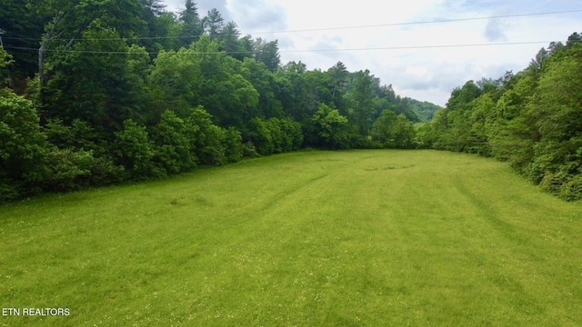 1140 River Divide Rd, Sevierville, TN 37876 - photo 54