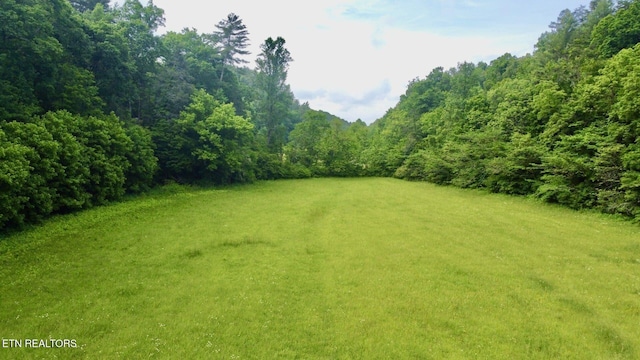 1140 River Divide Rd, Sevierville, TN 37876 - photo 55