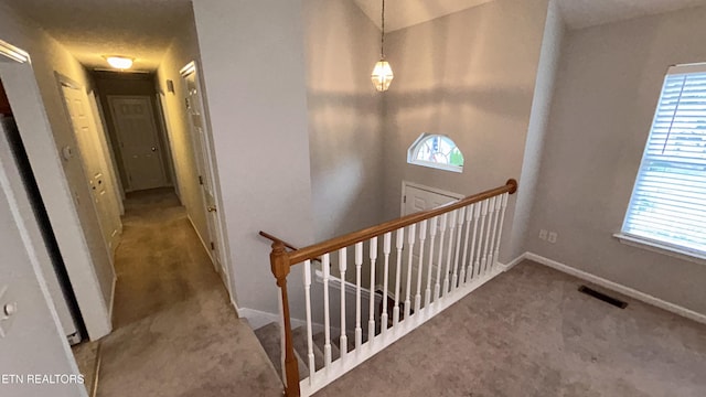 39 Golden Oak Dr, Ringgold, GA 30736 - photo 6