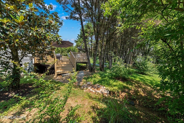 7501 Heumsdale Dr, Knoxville, TN 37924 - photo 27