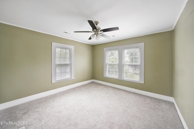 2417 Parkview Ave, Knoxville, TN 37917 - photo 20