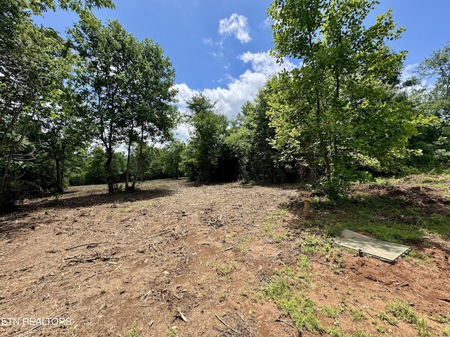 3405 Foshee Rd, Philadelphia, TN 37846 - photo 2