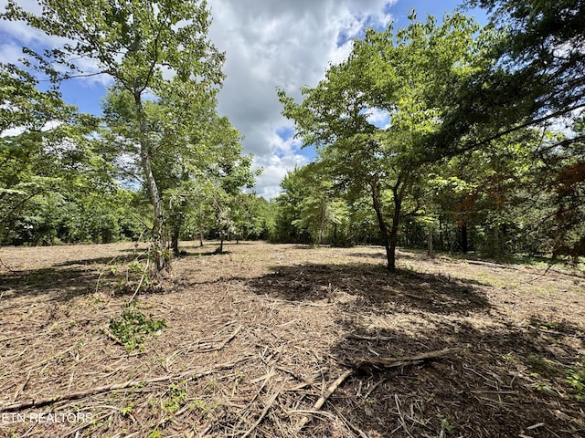 3405 Foshee Rd, Philadelphia, TN 37846 - photo 3