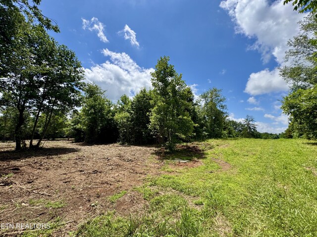 3405 Foshee Rd, Philadelphia, TN 37846 - photo 4