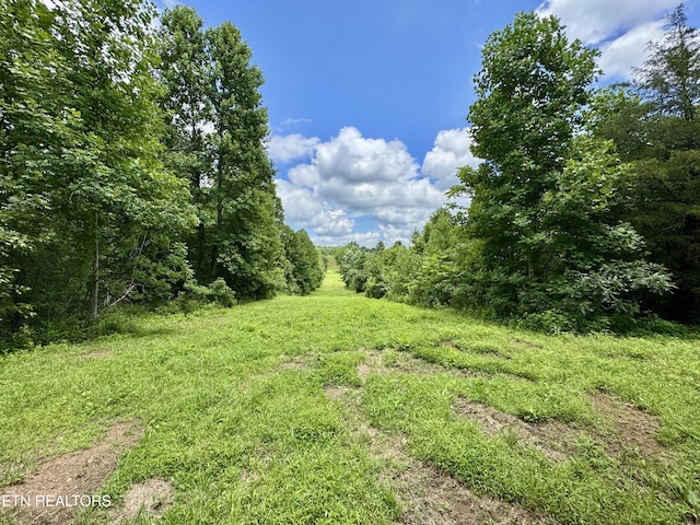3405 Foshee Rd, Philadelphia, TN 37846 - photo 5