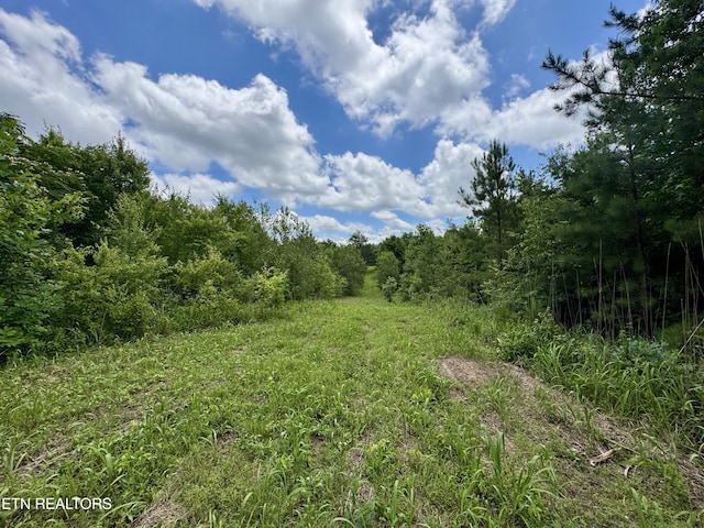 3405 Foshee Rd, Philadelphia, TN 37846 - photo 6