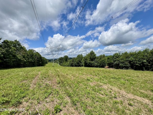 3405 Foshee Rd, Philadelphia, TN 37846 - photo 7
