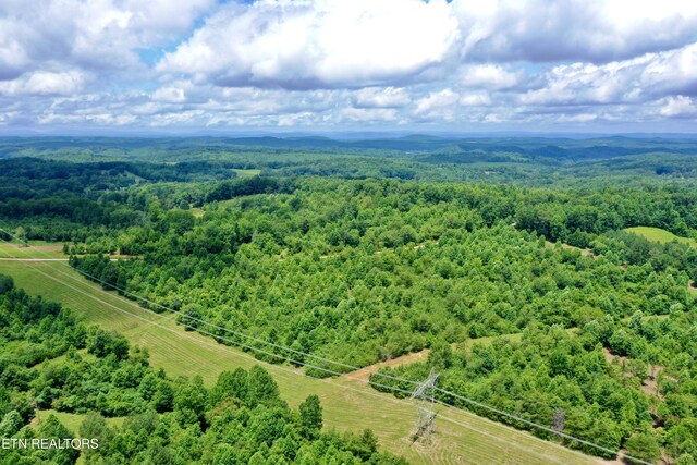 3405 Foshee Rd, Philadelphia, TN 37846 - photo 11