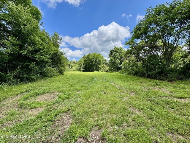 3405 Foshee Rd, Philadelphia, TN 37846 - photo 14