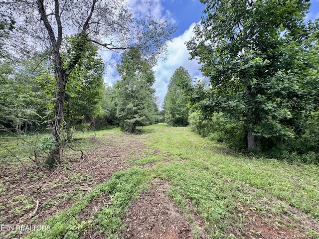 3405 Foshee Rd, Philadelphia, TN 37846 - photo 15