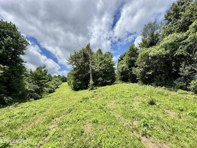 3405 Foshee Rd, Philadelphia, TN 37846 - photo 16