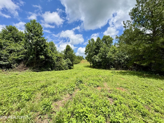 3405 Foshee Rd, Philadelphia, TN 37846 - photo 17