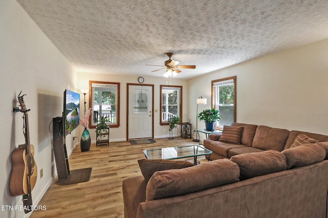 137 Memory Ln, Grandview, TN 37337 - photo 26