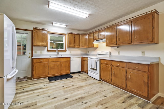 137 Memory Ln, Grandview, TN 37337 - photo 5