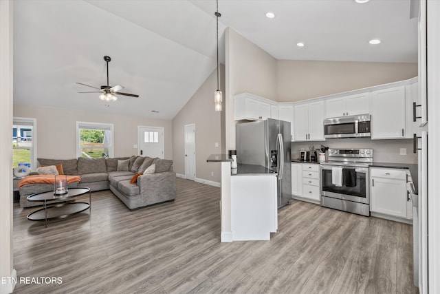 207 Daniel Morris Pt, Clinton, TN 37716 - photo 8