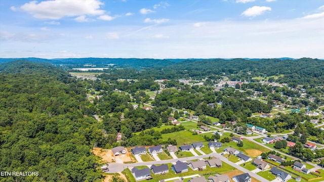 207 Daniel Morris Pt, Clinton, TN 37716 - photo 33