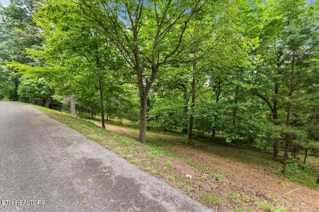 Bucks And Doe Ln, Lafollette, TN 37766