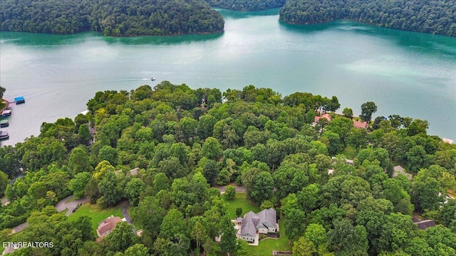 Bucks And Doe Ln, Lafollette, TN 37766