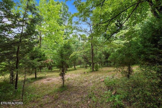 Bucks And Doe Ln, Lafollette, TN 37766