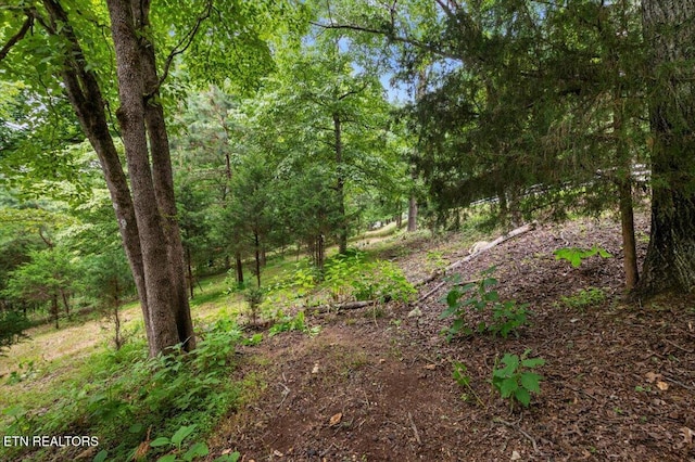 Bucks And Doe Ln, Lafollette, TN 37766